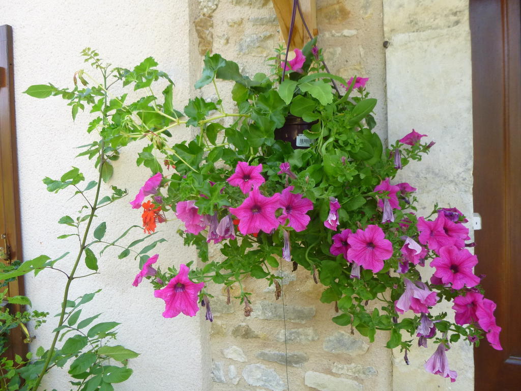 La Roulotte De Pommette Et Billy Bed & Breakfast La Hoguette Dış mekan fotoğraf